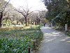 ueno_0286_mini.jpg