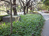 ueno_0287_mini.jpg