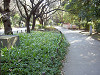 ueno_0288_mini.jpg