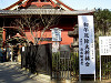 ueno_0289_mini.jpg