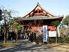 ueno_0290_mini.jpg