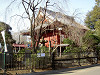 ueno_0292_mini.jpg