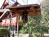 ueno_0293_mini.jpg