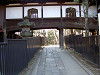 ueno_0298_mini.jpg