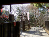 ueno_0299_mini.jpg