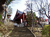 ueno_0300_mini.jpg
