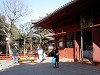 ueno_0310_mini.jpg
