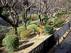 ueno_0311_mini.jpg