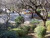 ueno_0312_mini.jpg