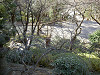 ueno_0313_mini.jpg