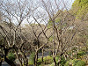 ueno_0317_mini.jpg