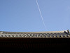 ueno_0319_mini.jpg
