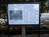 ueno_0335_mini.jpg