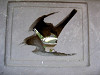 ueno_0342_mini.jpg