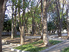 ueno_0344_mini.jpg