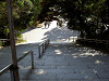 ueno_0351_mini.jpg