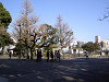 ueno_0352_mini.jpg