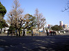 ueno_0353_mini.jpg