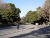 ueno_0354_mini.jpg
