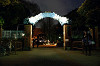 ueno_0361_mini.jpg