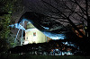 ueno_0368_mini.jpg