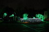 ueno_0371_mini.jpg