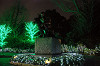 ueno_0373_mini.jpg