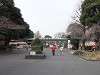 ueno_zoo_0002_mini.jpg