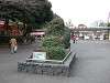 ueno_zoo_0004_mini.jpg