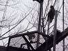 ueno_zoo_0038_mini.jpg