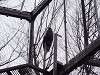 ueno_zoo_0040_mini.jpg