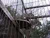 ueno_zoo_0042_mini.jpg