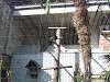 ueno_zoo_0051_mini.jpg