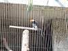 ueno_zoo_0053_mini.jpg