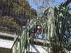 ueno_zoo_0057_mini.jpg
