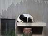 ueno_zoo_0062_mini.jpg