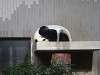 ueno_zoo_0066_mini.jpg