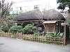 ueno_zoo_0068_mini.jpg