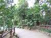 ueno_zoo_0072_mini.jpg