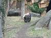 ueno_zoo_0103_mini.jpg