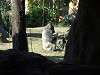 ueno_zoo_0121_mini.jpg