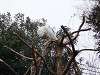 ueno_zoo_0123_mini.jpg