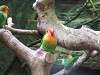ueno_zoo_0134_mini.jpg