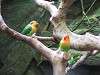 ueno_zoo_0135_mini.jpg