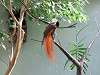 ueno_zoo_0160_mini.jpg