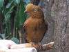 ueno_zoo_0173_mini.jpg