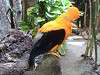 ueno_zoo_0175_mini.jpg