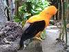 ueno_zoo_0176_mini.jpg