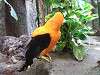 ueno_zoo_0177_mini.jpg