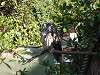 ueno_zoo_0180_mini.jpg